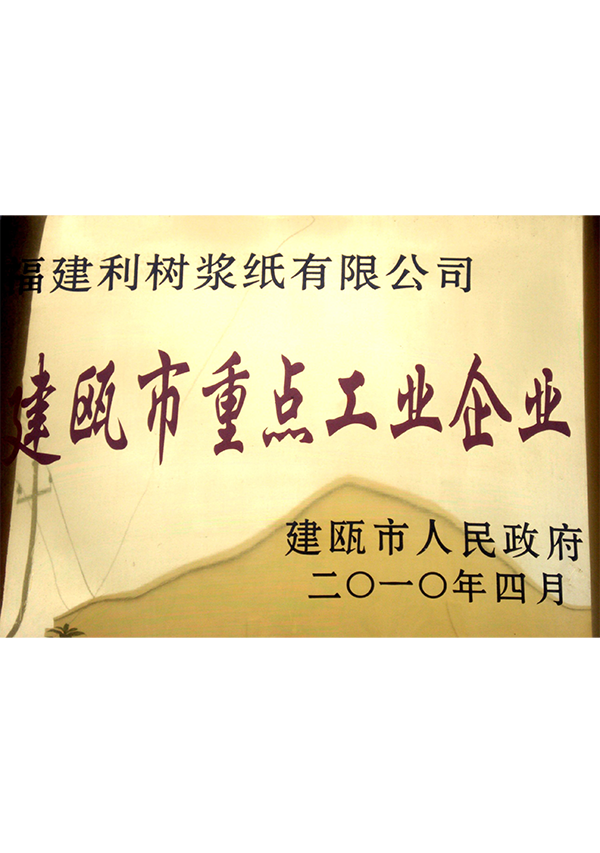 (Lishu pulp paper) in 2010 Jian 